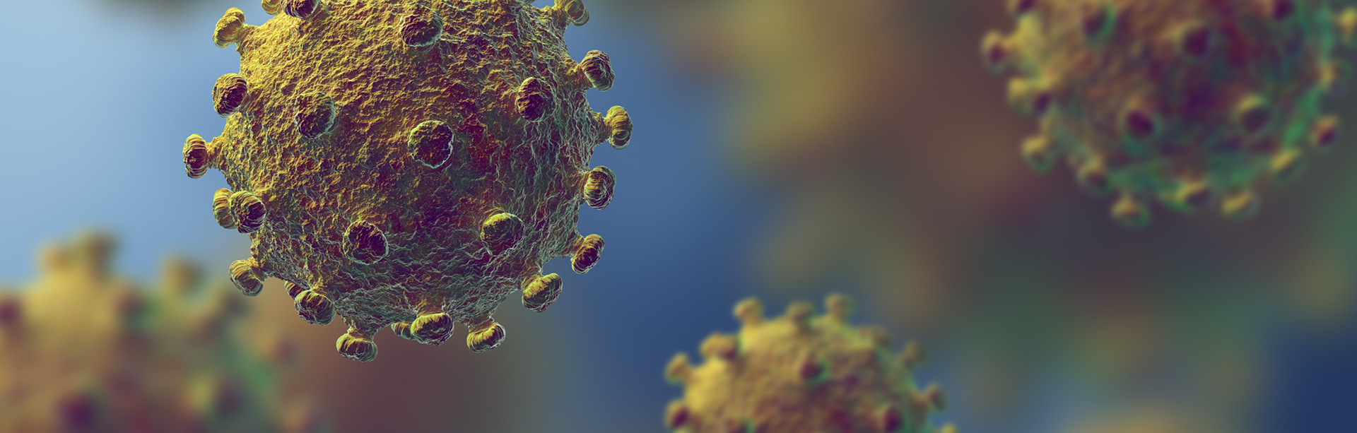 COVID-19: informazioni agli utenti