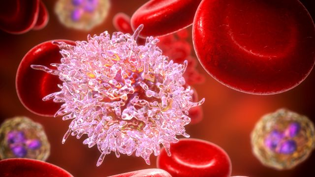 Disease Unit Leucemia Linfatica Cronica