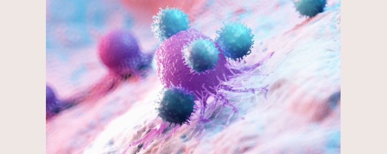 Uno studio sui linfociti T anti-tumorali apre a prodotti terapeutici futuri per i pazienti affetti da leucemia mieloide acuta
