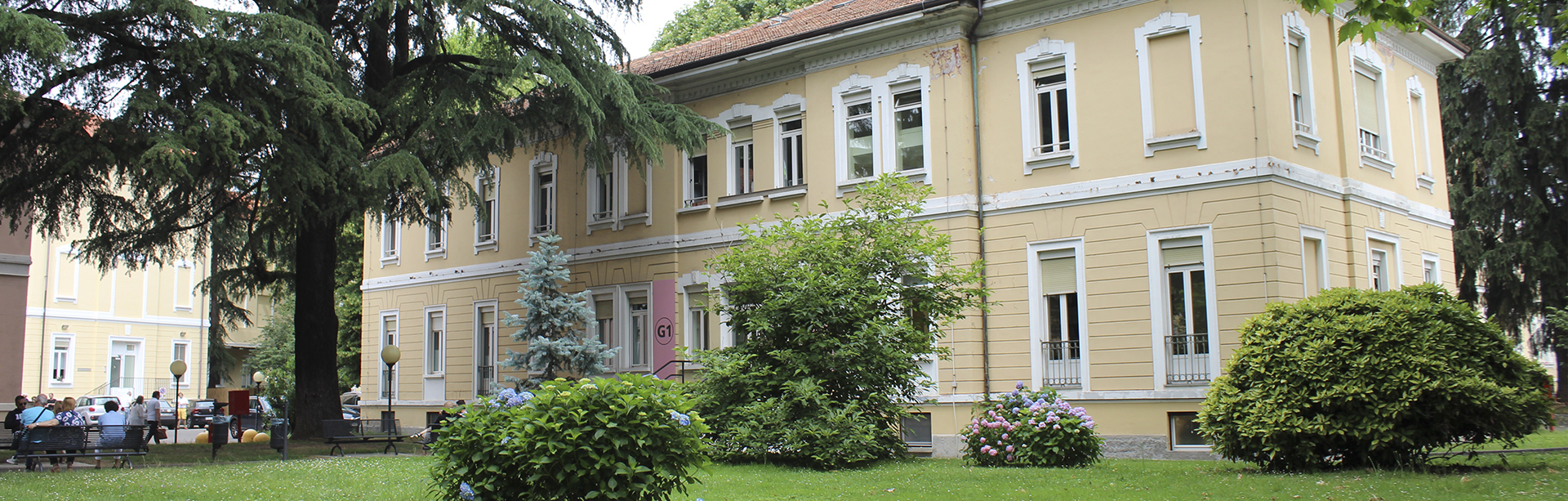 IRCCS Ospedale San Raffaele Turro