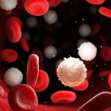 Ematologia e Trapianto di Midollo Osseo
