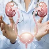 Urologia